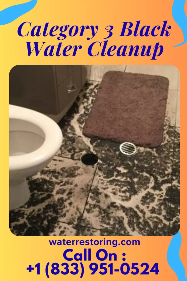 Category 3 Black Water Cleanup in Worcester, MA