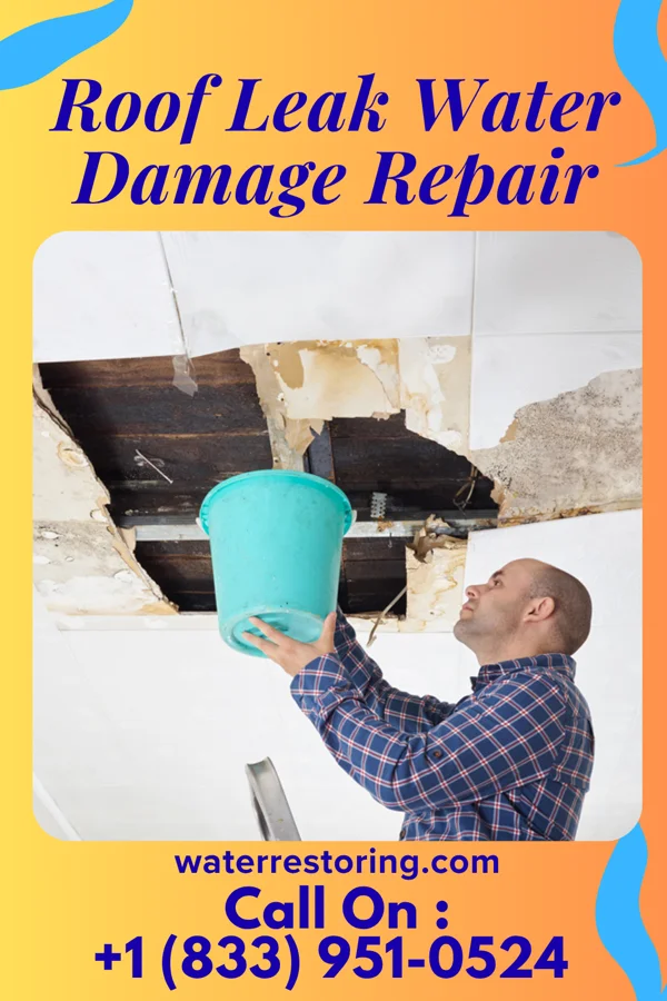 Roof Leak Water Damage Repair in Worcester, MA