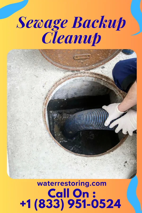 Sewage Backup Cleanup in Worcester, MA