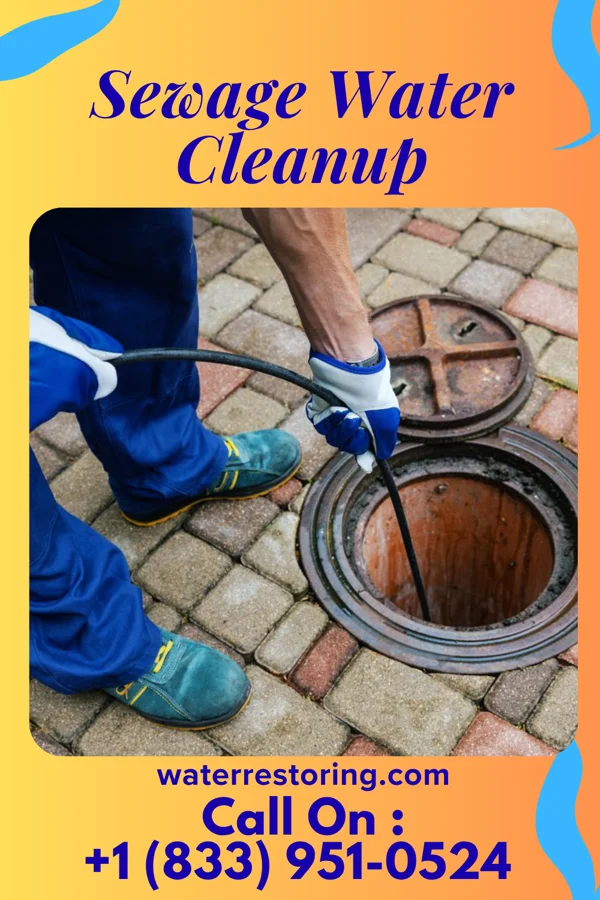 Sewage Water Cleanup in Worcester, MA