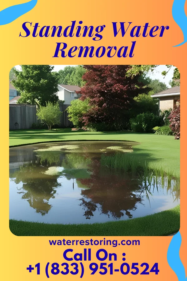 Standing Water Removal in Worcester, MA